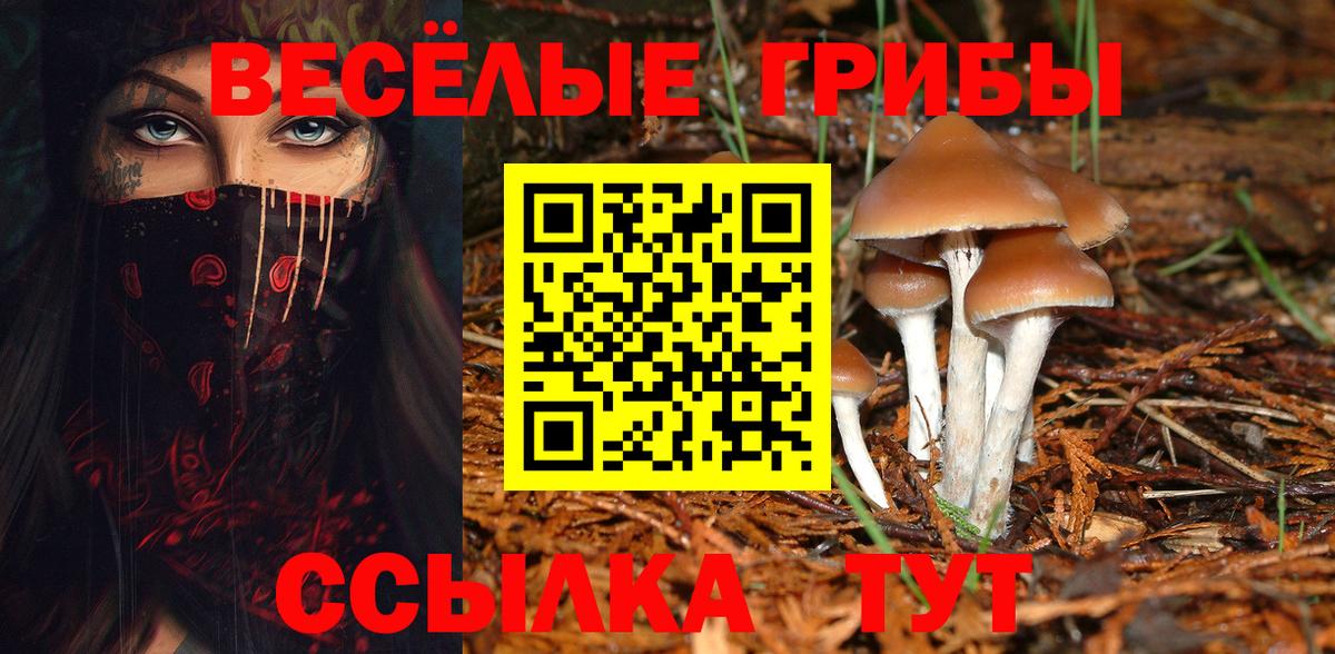 Галлюциногенные грибы Magic Shrooms  Галлюциногенные грибы MAGIC MUSHROOMS  Вход с VPN  Вятские Поляны 