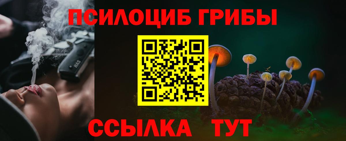 Псилоцибиновые грибы Psilocybe Вятские Поляны